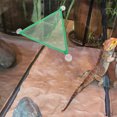 thumbnail image 3 of LIFKOME Hamac Suspendu Léopard Gecko en Toile Vert pour Dormir 1 Ensemble, 3 of 8