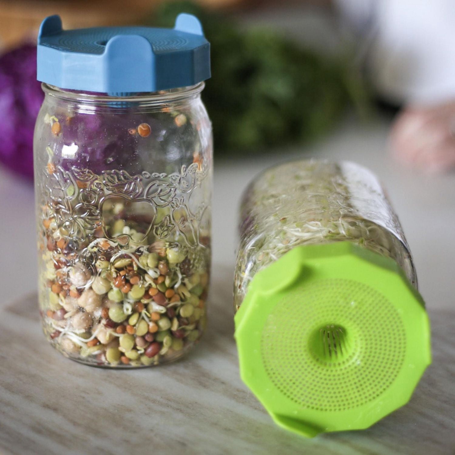 Masontops® Bean Screen Sprouting Kit