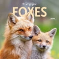 thumbnail image 1 of Foxes 2026 Square Wyman, 1 of 3