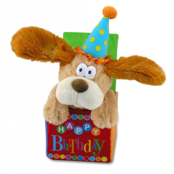 Laminoirs à câliner Barn 12 Flappy Birthday Anime Chiot en peluche chantant pour chien avec inscription'Happy Birthday" Couleur multicolore