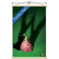 thumbnail image 2 of Wicked - Teaser One Sheet Wall Poster, 22.375" x 34", 2 of 4