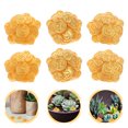 thumbnail image 2 of MOVTOTOP 10Pcs Fake Money For Kids Miniature Coin Golden Resin For Bookshelf Decor And New Year Festivities, 2 of 7