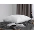 thumbnail image 3 of Royal Elite White Goose Down Chamber Lock Pillow, 3 of 4