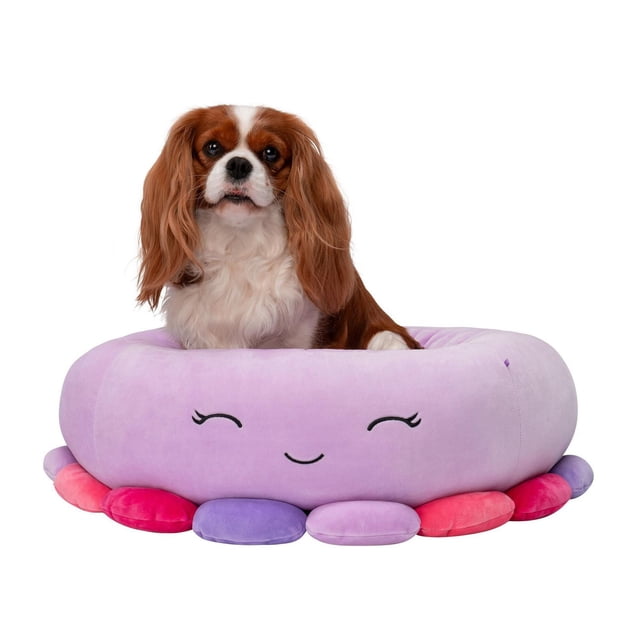 Squishmallows Dog Bed - Cat Bed - Beula the Octopus in soft light purple plush with colorful rounded bolsters and embroidered smiling face, holding a small brown and white Cavalier King Charles Spaniel dog sitting inside the cushioned round pet bed on a white background, ideal for cuddly cats and dogs.