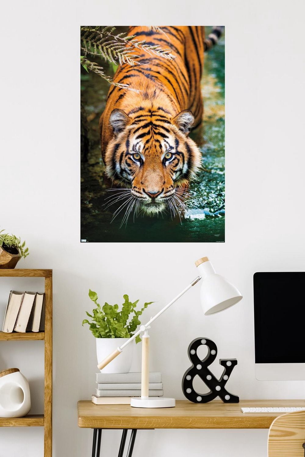 Tiger - Water Wall Poster, 22.375" x 34"