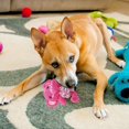 thumbnail image 2 of Dog Teething Rope Toy Sounding Dog Toy Cute Animal Shaped Pet Toy Knitted Dog Toy Suitable For Small And Medium Dogs, 2 of 5