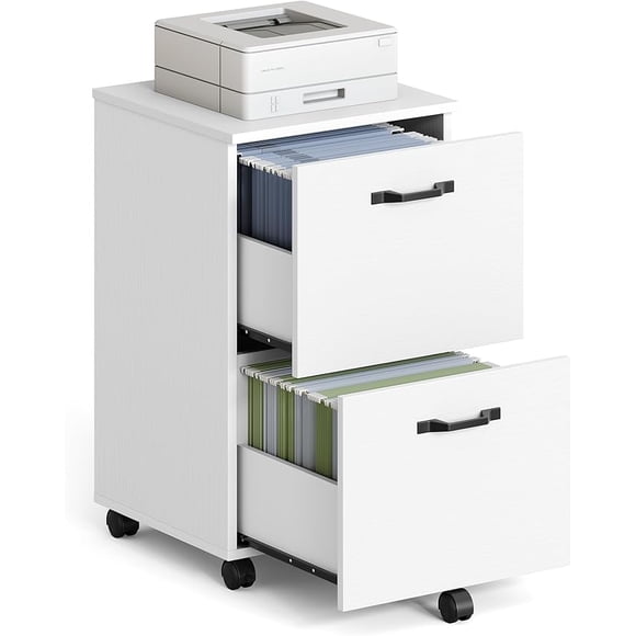 VASAGLE 2-Drawer File Cabinet, Small Rolling Filing Cabinet for Home Office, Printer Stand, for A4, Letter-Size Documents, 15.7 x 16.5 x 27.6 Inches, Snow White