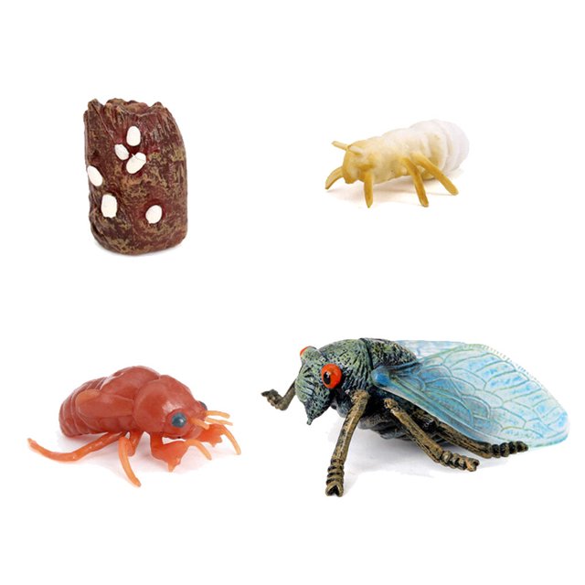 tredstone 1 Set Spade Worm Model Premium Plastic Material Meaningful Insect Figurines Early Educational Growing Models for School Project cicada type2