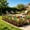 Multicolor Size V5, variant on Garden Fence Barrier, TOUMENY Rustproof Metal Decorative Fence Panels, Anti-Dig Pet Barrier for Yard Lawn Outdoor, 30x20cm Wrought Iron Garden Fence for Flower Bed