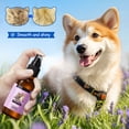 thumbnail image 1 of FHBVT Copra Scented Pet Grooming Detangler Spray Natural Hypo-Allergenic Moisturizing Coat Conditioner Shine Spray Deodorizing Anti-Matting For Dogs Cats All Coat Types Daily Grooming Supplies Decor, 1 of 9