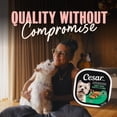 thumbnail image 4 of Cesar Classic Loaf in Sauce Turkey Recipe Soft Wet Dog Food, 4 of 9