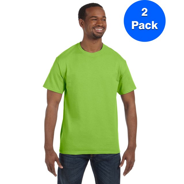 Hanes Men's Authentic-T T-Shirt - 5250T (Pack of 2)