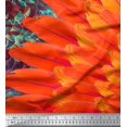 thumbnail image 3 of Soimoi Silk Fabric Floral & Feather Panel Printed Fabric 1 Yard 42 Inch Wide, 3 of 3