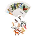thumbnail image 3 of 1 Set Animal Model Cards Matching Cognitive Toy English Cards Animal Model Toy, 3 of 8