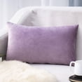 thumbnail image 1 of Rectangle Velvet Throw Pillow Cover, Waist Pillow Cushion, 30×50cm, Polyester Material, Envelope-Style Closure, Fresh Breathable, Washable, Comfortable Brushed Fabric, Suitable As Gift, 1 of 6