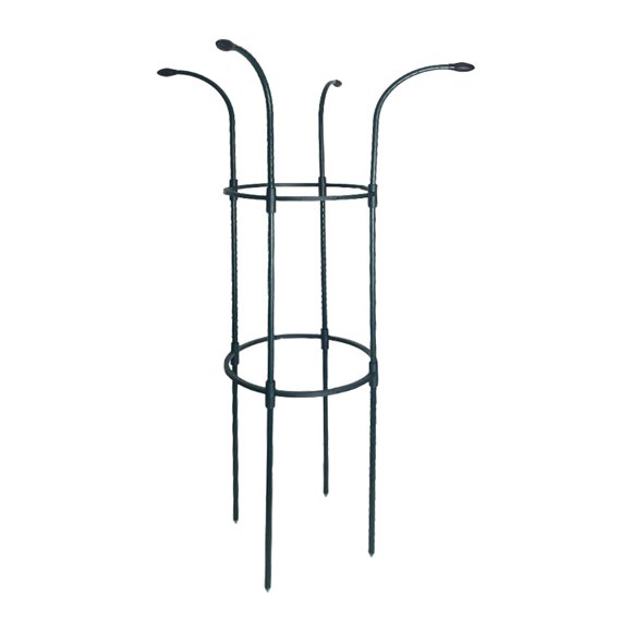 davian Treillis pour Plantes Treillis de Jardin en Métal Treillis pour Plantes Grimpantes Support Robuste pour Plantes en Pot Antirouille Robuste Convient à la Décoration Intérieure Extérieure de la Maison 100 cm