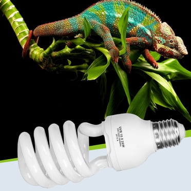 Ampoule de Calcium pour Reptiles, Lampe UVB Économe en Énergie, Super Lumineuse pour Reptiles, Lampe Ultraviolette à Faible Consommation d'Énergie