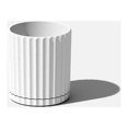 thumbnail image 1 of 6'' PLNTR WHITE - FRENCH, 1 of 9