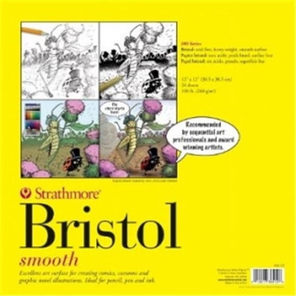Strathmore ST345-2 22.5 x 28.5 in. Smooth Surface Bristol Sheets