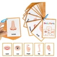 thumbnail image 2 of Jierger Clearance Body Parts Learning Cards | Body Parts Flash Cards for | English Pocket Card 15Pieces Body Parts Flash Card | Vocabulary Words Flashcard Educational Learning Flashcard for Kids, 2 of 9