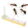 thumbnail image 4 of FLAMEEN Acrylic Ant Breeding House, Ant Breeding Box, For Ant School Household For Insect Garden, 4 of 8