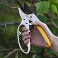 thumbnail image 5 of Silver pruning shears Fruit tree shears Gardening tools, 5 of 5