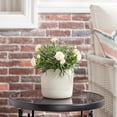 thumbnail image 2 of Better Homes & Gardens 6" Ceramic Grooved Pot-White, 2 of 6