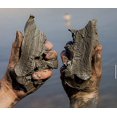 thumbnail image 3 of Dead Sea Body Mud, 3 of 4
