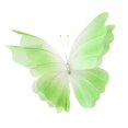 thumbnail image 4 of KLKCMS Artificial Gauze Butterfly with Standing Base Crafts Fake Wedding Decoration Green, 4 of 9