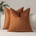 thumbnail image 1 of Tyidzon Pillow Covers Velvet Embossed Pillow Double-sided Different Pattern Cushion Cushion Cover, 1 of 1