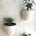 thumbnail image 2 of Wall-Mounted Flower Pot Automatic Water-Absorbing Plastic Green Dill, 2 of 8