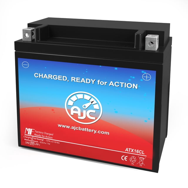 AJC Batterie Compatible avec Sea-Doo RX X 951CC Batterie pour Motomarine (2001)