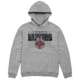 thumbnail image 1 of NBA Officially Licensed Toronto Raptors Vintage Grey Hoodie, 1 of 2