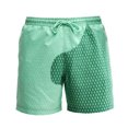 thumbnail image 1 of KAWELL Children's Color Changing Shorts, Boys'Fun Sports Quick-Drying Temperature-Sensitive Color-Changing Swimming Trunks, 1 of 3