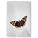 thumbnail image 3 of Betsy Drake GT762 Red Admiral Butterfly Guest Towel, 3 of 4