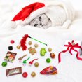 thumbnail image 2 of Vibrant Life Bas-Jouet pour Chat de 21 Pcs, Brun, 21 Pcs de Jouets à l'Herbe à Chat, 2 of 3