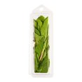 thumbnail image 2 of Fresh Mint, Your Fresh Market, 7 g, 2 of 2