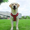 thumbnail image 4 of TIELUTT Chest Harness Ocean Colour Adjustable Harness in Size M (Chest Circumference, 4 of 4