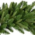 thumbnail image 3 of Northlight Real Touch™️ Washington Frasier Fir Artificial Christmas Wreath - 48" - Unlit, 3 of 6