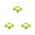 thumbnail image 4 of Decodeary 50pieces Low Maintenance Soft Texture Fabric For Albums And Decorations Realistic Appearance Fiber Wide Application Light Green 4.5cm 3Set, 4 of 6