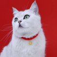 thumbnail image 4 of Cotton Rope Dog Collar Chinese Traditional Elements Cat Collar for Small Medium Cat Dog, 4 of 8