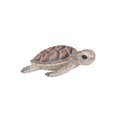 thumbnail image 1 of Décor de Jardin Statue d'Animal Petite Sea Turtle, 1 of 5
