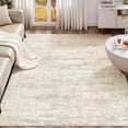 thumbnail image 1 of x Area Rug Living Room Rugs Washable Neutral Modern Abstract Soft Thin Large Rug Indoor Floor No Slip Rug Carpet for Bedroom Under Dining Table Home Office Decor Grey, 1 of 9