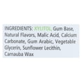 thumbnail image 1 of Xlear - Gomme à Mâcher Épicée avec Xylitol Fruits Frais - 100 Pce(s), 1 of 4
