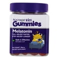 thumbnail image 1 of Natrol - Kids Melatonin Gummies Sleep Support Berry 1 mg. - 90 Gummies, 1 of 5