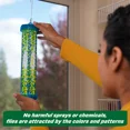 thumbnail image 5 of RESCUE Indoor FLY TrapStik®, 5 of 5