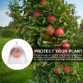 thumbnail image 5 of 50 Pcs Fruit Plants Flowers Seeds Protection Netting Bags Prevent Birds Bugs, 5 of 5