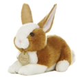 thumbnail image 1 of Aurora Peluches - Dutch Rabbit 8 Pouces, 1 of 1