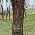 thumbnail image 2 of New Active Small Loop Antenna Short Wave Loop Antenna NE592 for SDR Receiver Antenna Amateur Radio RX Only HF AM MW AM, 2 of 5