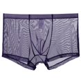 thumbnail image 1 of XZNGL Mens Mesh Comfortable Sweat-Absorbing Ultra-Thin Underwear with Flat Angle Pants, 1 of 2